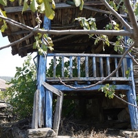 Photo de Turquie - La région de Didim